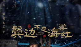 鬓边不是海棠红电视剧,民国风华下的爱恨情仇