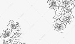 素描漫画花,绽放的艺术魅力与情感表达