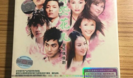 那些花儿电视剧,青春记忆中的校园传奇