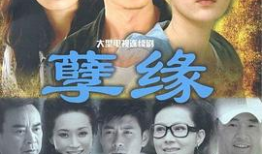 类似孽缘的电视剧,命运交织的悲欢离合