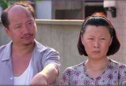 关于东北农村的电视剧,岁月流转中的乡愁记忆