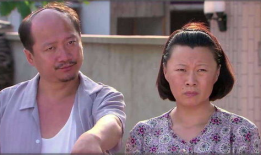 关于东北农村的电视剧,岁月流转中的乡愁记忆