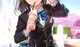 少女漫画校,少女漫画中的青春校园生活
