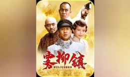 雾柳镇电视剧,揭秘民国风云中的爱恨情仇