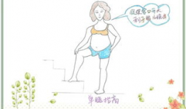 复位漫画,穿越时空的奇幻冒险之旅