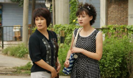养女电视剧演员表,实力派明星齐聚演绎感人亲情故事