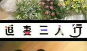 追妻三人行电视剧全集,情感纠葛，爱恨交织的浪漫旅程