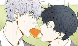 耽美漫画腐漫网,腐漫网带你领略耽美世界的魅力