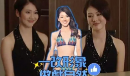 邓佩仪电视剧,从荧幕到现实，演绎传奇人生