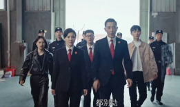 执行法官电视剧演员表,实力派齐聚演绎正义之战