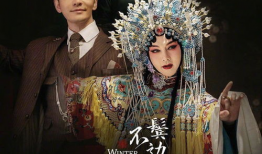 鬓边不是海棠红电视剧,民国风华下的爱恨情仇