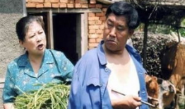 关于东北农村的电视剧,岁月流转中的乡愁记忆
